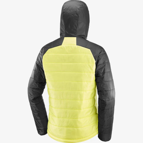 Chaqueta Salomon Outline Hooded Hombre Verde Charlock Aislada