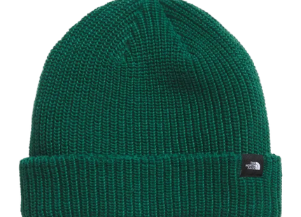 Gorro The North Face Fisherman Beanie Verde
