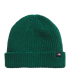 Gorro The North Face Fisherman Beanie Verde