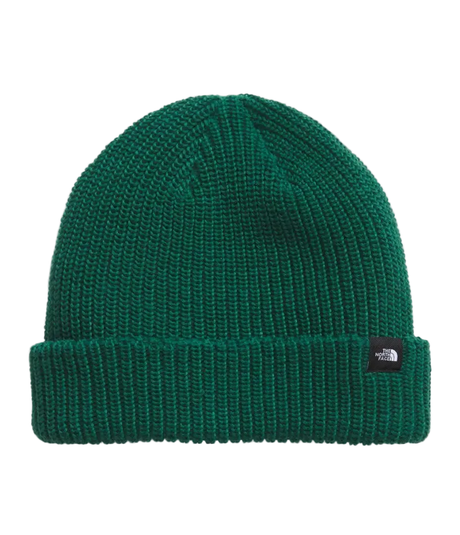 Gorro The North Face Fisherman Beanie Verde