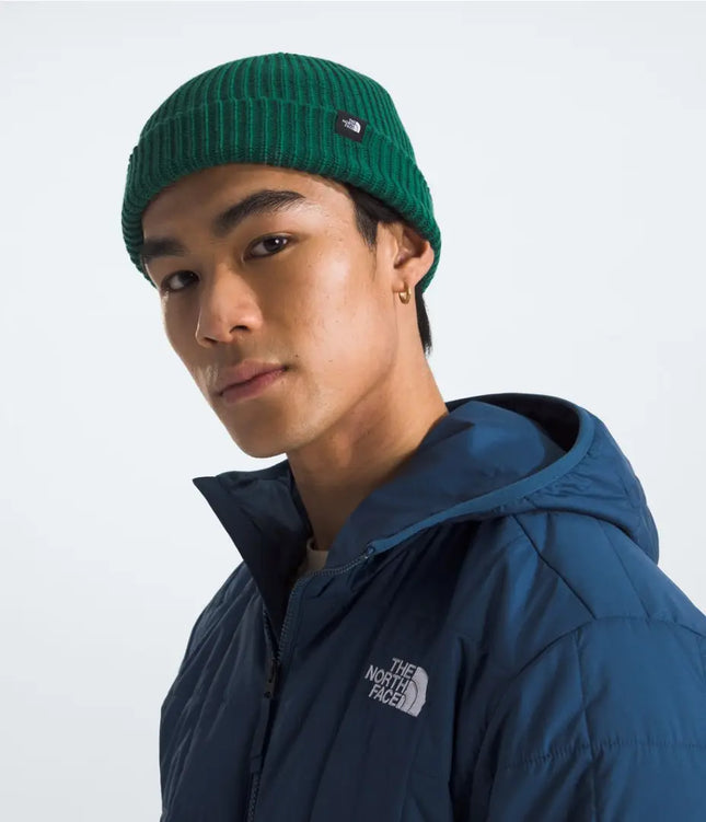 Gorro The North Face Fisherman Beanie Verde