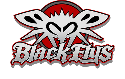 Lente de Sol Black Flys Casino