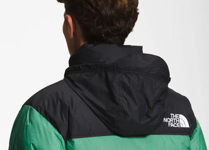 Chaqueta The North Face 1996 Retro Nuptse Hombre Verde Pasto Pluma