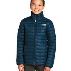 Collection image for: Chaquetas The North Face Niño/a