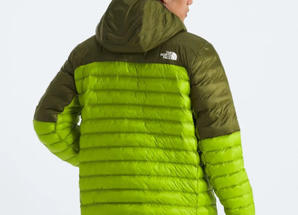Chaqueta The North Face Terra Peak Hoodie Hombre Verde Meadow