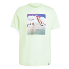 POLERA ADIDAS HOMBRE LANDSCAPE BOS VERDE